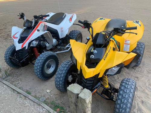 Can-am Ds 250