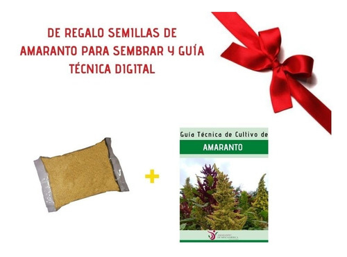 Amaranto Con Chocolate Y Cacahuate 90 Pzas