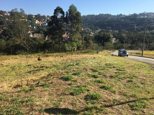 Imagem 1 de 13 de Terreno Com Projeto - Te9625