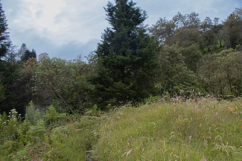 Casa Finca En Guarne 9.000 M2