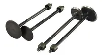 Comprar Valvulas  Bajaj Pulsar 200 Ns\u002Frs Set 4 Piezas °-°