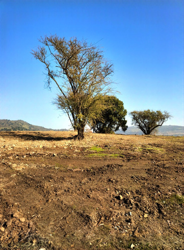 Se Vende Parcela 5000 Mts.