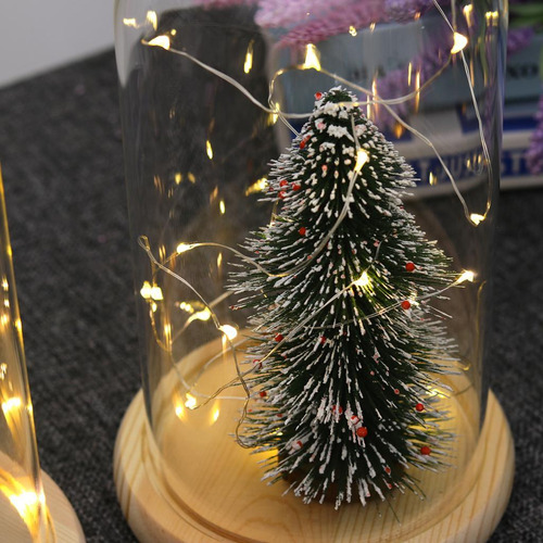 Glass Cloche Con Led Fairy Lights Mi Mi