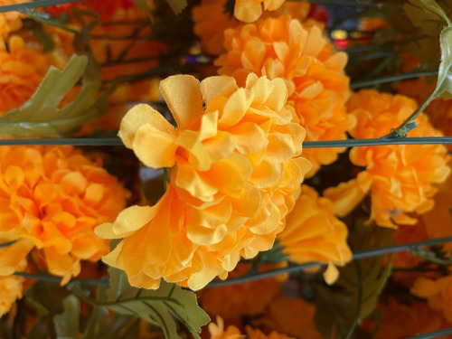 Guía De Flor Cempasúchil Día De Muertos Decoración  Mts | MercadoLibre