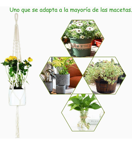 Soporte Colgante Para Macetas Generic Flowerpot 4pz