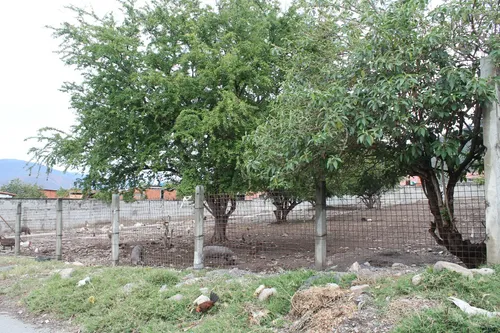Terreno En Venta. Ejido, Merida.