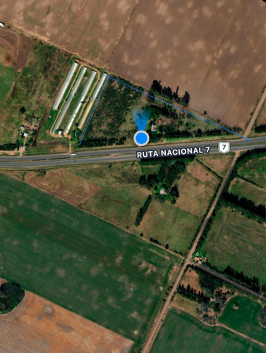 4 Hectáreas En Venta Sobre Ruta 7 Villa Espil, Giles, Bs As