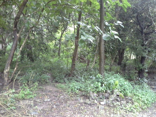 Imagen 2 de 14 de Terreno De Abangares