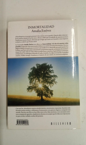 Inmortalidad - A La Luz De Nuestras Vidas Pasadas - Estevez (Usado)