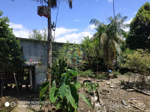Imagem 29 de 30 de Chácara Com 3 Dorms, Loty, Mongaguá - R$ 350 Mil, Cod: 405013 - V405013