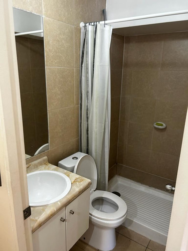 Vendo Departamento Estilo Mariposa De 2 Dorm. En Concepción.