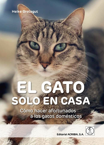 Grotegut: El Gato Solo En Casa