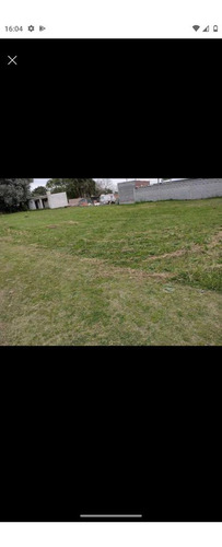 Imagen 2 de 7 de Terreno En Grutly