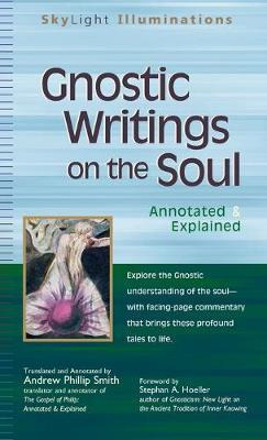 Libro Gnostic Writings On The Soul - Andrew Phillip Smith