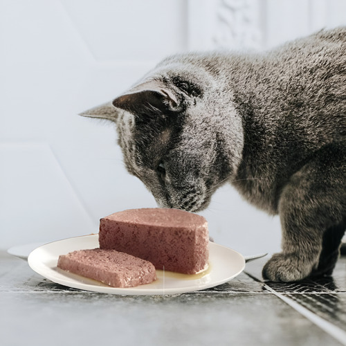 Pack 3 Sobres Gatitos Pescado 85gr + 3 Pate De Salmon 156gr