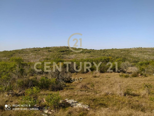 Imagen 12 de 19 de Se Vende Muy Lindo Campo Con Cañada !!