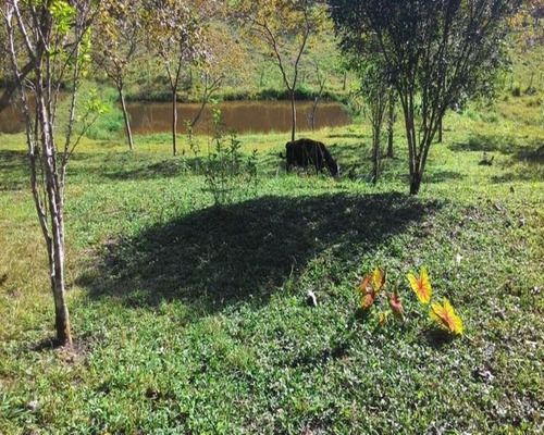 Imagem 14 de 23 de Sitio De 6 Alqueires - St00019