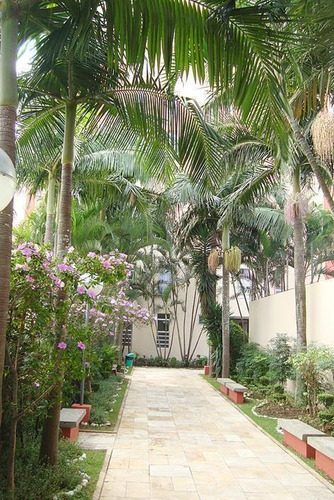 Imagem 2 de 16 de Apartamento Residencial À Venda, Vila Matilde, São Paulo. - Ap1606