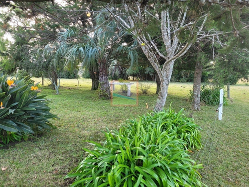 Imagen 8 de 26 de Campo De 34 Hás Con Casa Ruta 12 Pueblo Edén