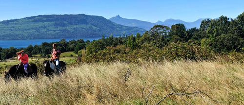 Terreno Con Increíble Vista Al Lago Rupanco