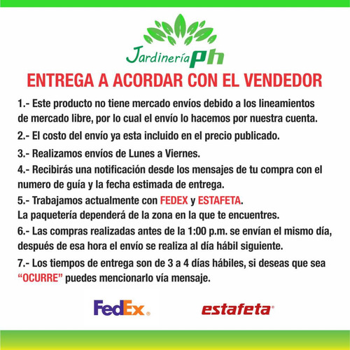 Termidor Insecticida Termitas 1lt