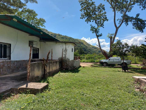 Imagen 26 de 29 de Finca Mixta + Manga De Coleo De 1 Ha En Guayabita En Turmero