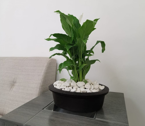 Imagen 6 de 7 de Maceta Minimalista Jardinera Mejor Que Fibra De Vidrio .32
