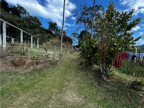 Se Vende Finca En Barragán