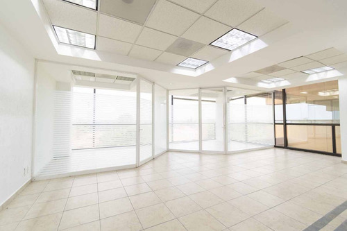 Renta Edificio Precio $300.00 M2