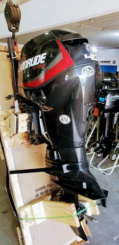 Motor Evinrude 25 - 40 Hp 2 Tiempos Ecol Nautica Milione