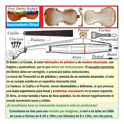 Viola - Reparación Afinación - Luthier - Prof. Dmitry Rodnoy (Usado)