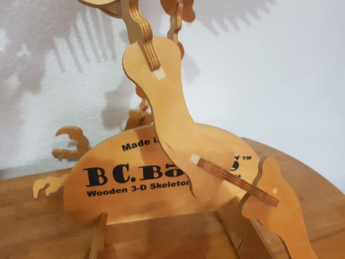 Dinosaurio Velociraptor De Madera Bc Bones Abierto P Armar (Usado)