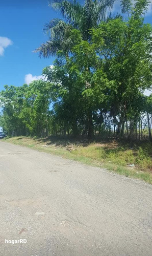 Solar Con 16,000 Mts2 Próximo Al Merca Santo Domingo
