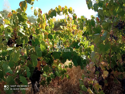Se Vende Parcela De Agrado En Santa Rosa De Lavaderos Maule