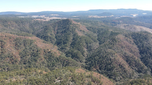Terreno En Venta De Uso Rústico En Tapalpa