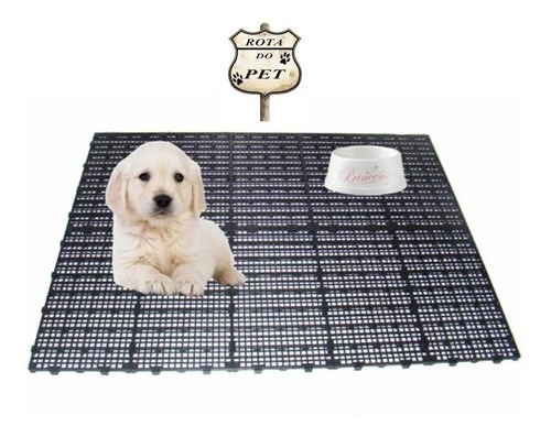 Imagem 1 de 3 de Estrado Piso Pallet Palete Plástico Pet Shop Banheiro Cães