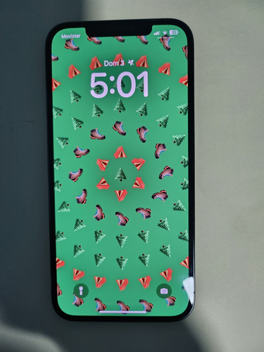 iPhone 12 Pro Max (Usado)
