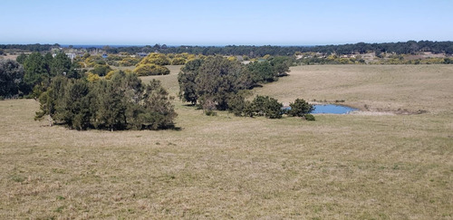 Imagen 6 de 30 de Chacra En Venta, Fraccion De 20 Has En Jose Ignacio (ref: Atm-6766)