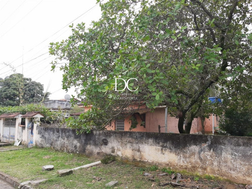 Imagem 5 de 14 de Terreno - Te00121 - 69864315