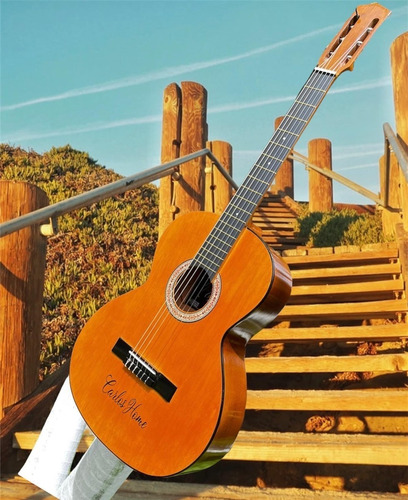 Guitarras Acustica Clasica + Forro+ Metodo Más Pañ+envio
