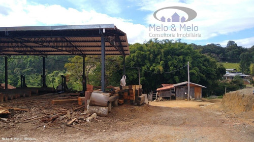 Imagem 8 de 11 de Terreno Para Venda Em Pedra Bela, Ribeiro - 1973_2-1190538