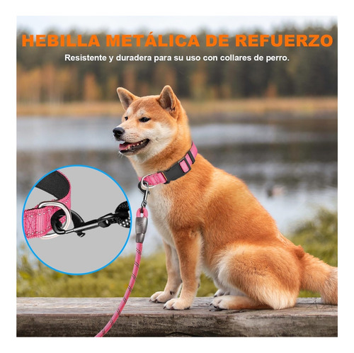 Collar De Perro Reflectante Collar Perro Nailon Ajustable