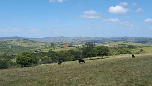 Campo En Maldonado, A 55 Km De Punta Del Este