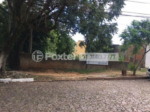Imagem 2 de 8 de Terreno, 550 M², Vila Ipiranga - 205028