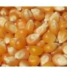 Maíz Palomero Aceite Sal Palomitas Mantequilla 4 Kg Envio