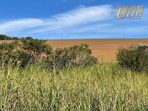 Imagem 18 de 21 de Area Para Empreeendedores ! ! ! - Si0039