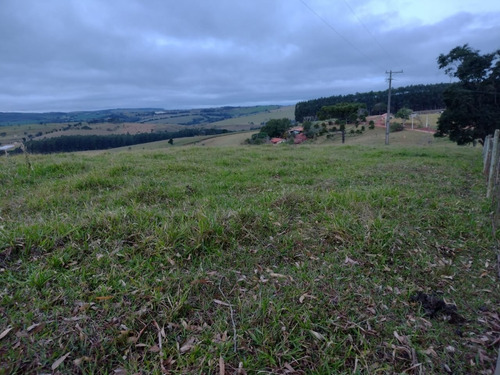 Imagem 4 de 16 de Sítio Com 3.8 Alqueires Com Casa Simples Terra Vermelha 5 Km Do Asfalto Água Corrente No Fundo Do Sítio, Oportunidade... Custo Benefício... Valor : 295 Mil Município De Itapetini - Ch00089 - 695779