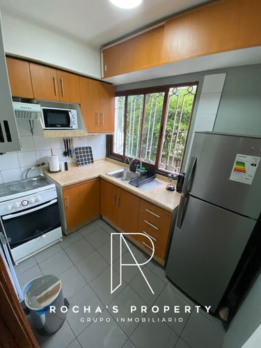 Dpto Amoblado Con Patio Todo Gto Incl Providencia 2d+2b+1e