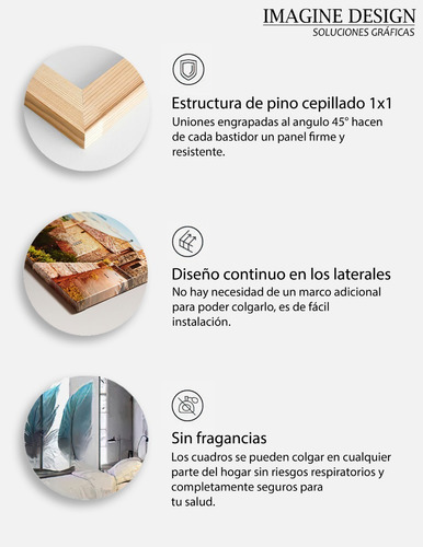 Cuadro Canvas 1 Panel 50x70 Cm - Personalizado