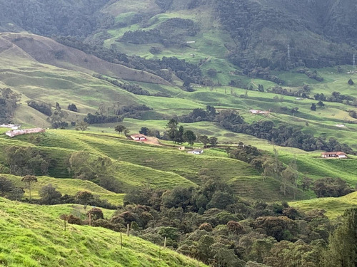 Vendo Finca Ganadera 66 Cuadras Alto Boquerón